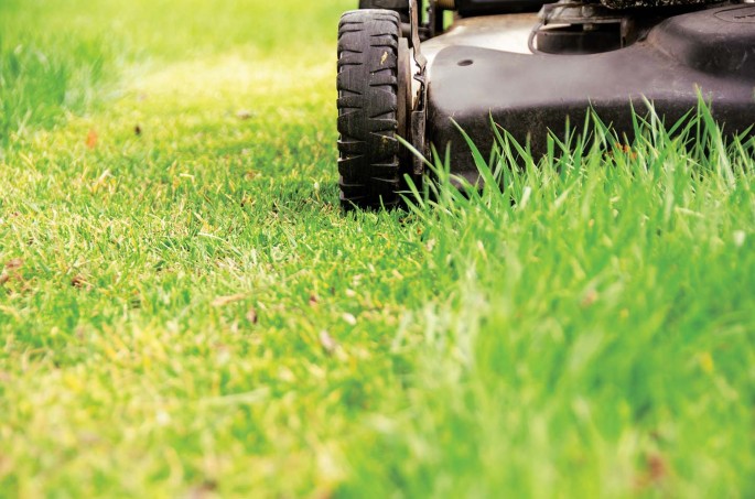 Lawn care